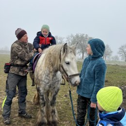 Fotogalerie Mravenečci