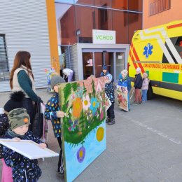 Fotogalerie Mravenečci