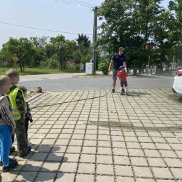 Fotogalerie Mravenečci