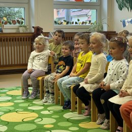 Fotogalerie Mravenečci