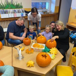 Fotogalerie Mravenečci