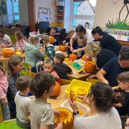 Fotogalerie Mravenečci