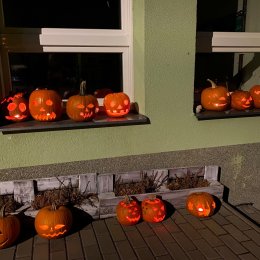 Fotogalerie Mravenečci