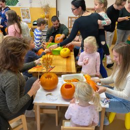 Fotogalerie Mravenečci