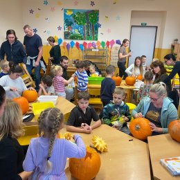 Fotogalerie Mravenečci