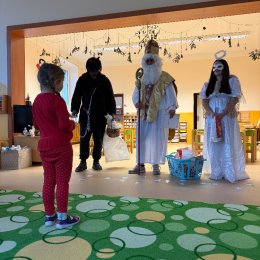 Fotogalerie Mravenečci