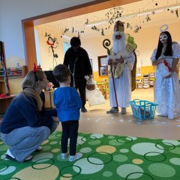 Fotogalerie Mravenečci