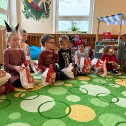 Fotogalerie Mravenečci