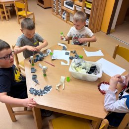 Fotogalerie Mravenečci