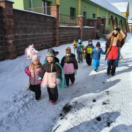 Fotogalerie Mravenečci