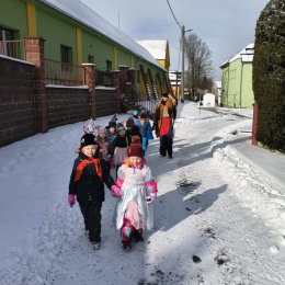 Fotogalerie Mravenečci