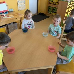 Fotogalerie Mravenečci