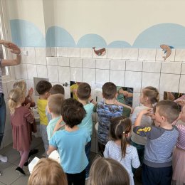 Fotogalerie Mravenečci