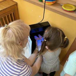 Fotogalerie Mravenečci