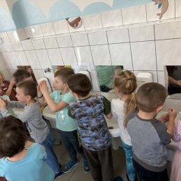 Fotogalerie Mravenečci