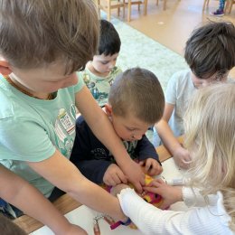 Fotogalerie Mravenečci