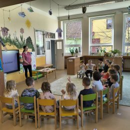 Fotogalerie Mravenečci