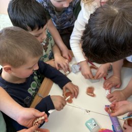 Fotogalerie Mravenečci