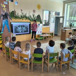 Fotogalerie Mravenečci