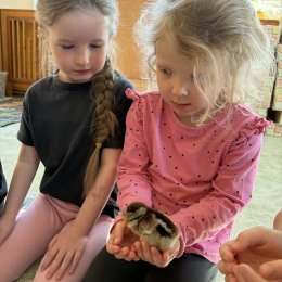 Fotogalerie Mravenečci