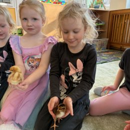 Fotogalerie Mravenečci