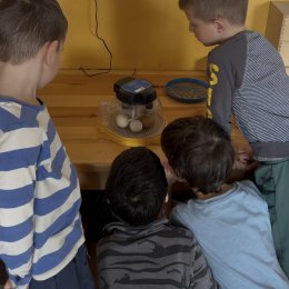 Fotogalerie Mravenečci