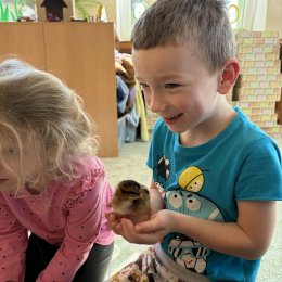 Fotogalerie Mravenečci