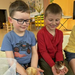 Fotogalerie Mravenečci