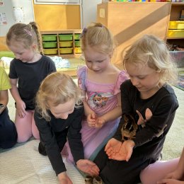 Fotogalerie Mravenečci