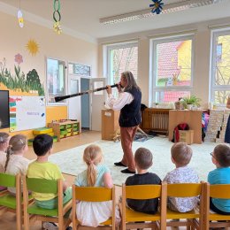 Fotogalerie Mravenečci