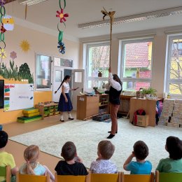 Fotogalerie Mravenečci