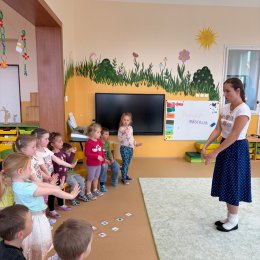 Fotogalerie Mravenečci